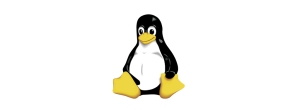 Linux en Enric Jané